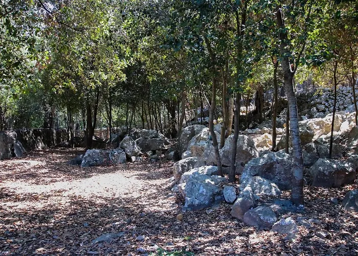 - 4062-90 Mallorca Pollença