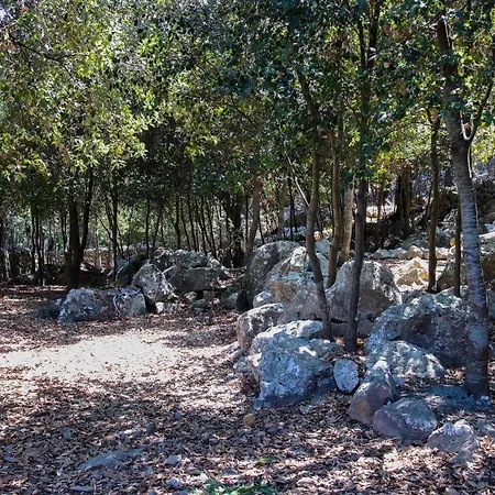 - 4062-90 Mallorca Pollença